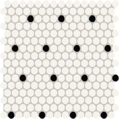 Daltile Color Wheel Mosaic 13'' x 11'' Penny Matte Arctic White/Black Matte