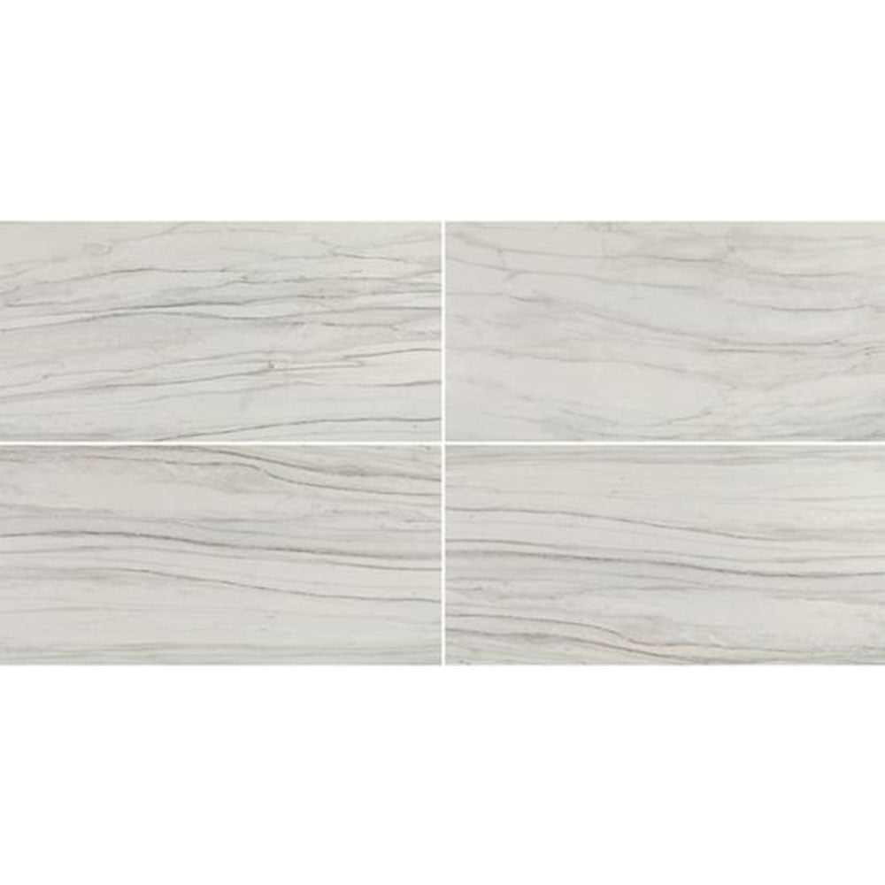 Chesapeake Alpine 12" X 24" Matte Calacatta Gray