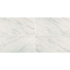 Chesapeake Alpine 12" X 24" Matte Carrara White