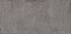 Emser Cogent 12"x24" Gray