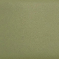 Daltile Colormatch 6" X 6" Matte Matte Artichoke