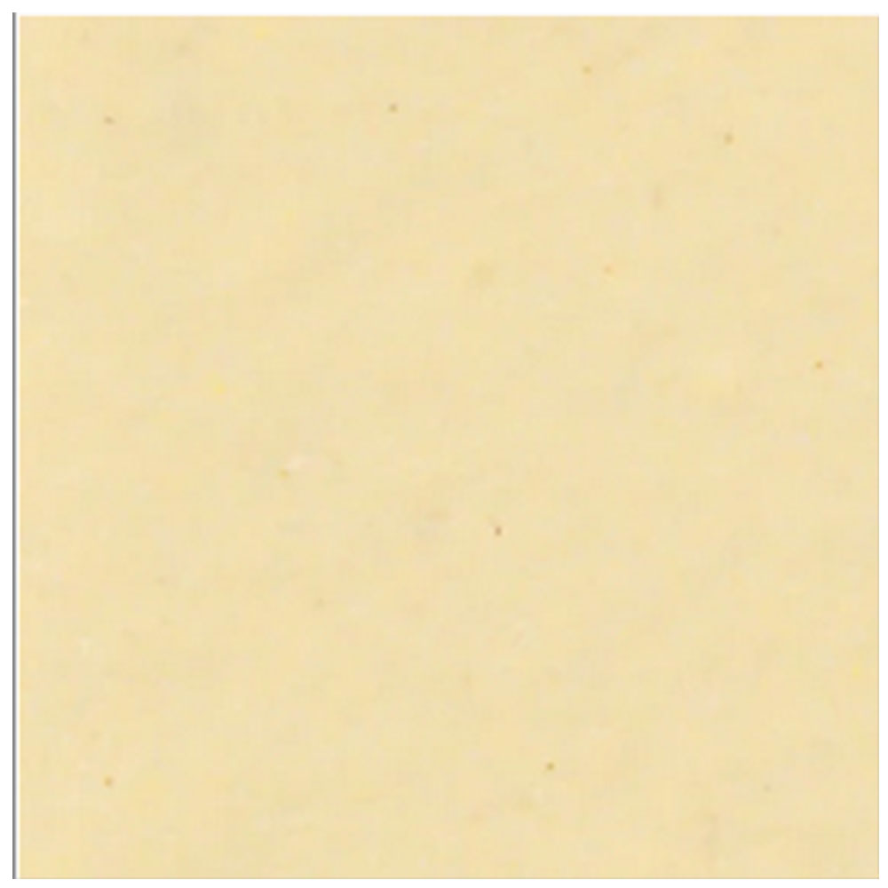 Daltile Color Wheel Classic 6" X 6" Glossy Cornsilk