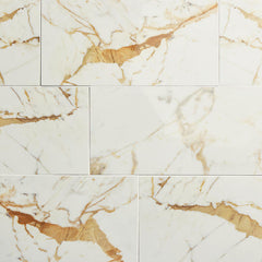 Daltile Panoramic Duet 24" x 48" Polished Diamond Mine