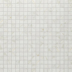 Daltile Panoramic Duet 2" x 2" Straight Joint Mosaic 12" x 24" Matte Diamond Mine