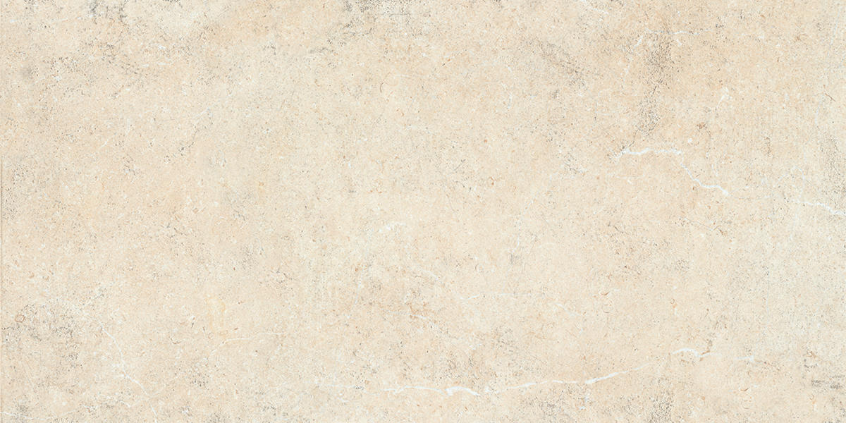 Daltile Courier 24" x 48" Xterior Paver Textured Lookout