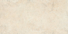 Daltile Courier 24" x 48" Xterior Paver Textured Lookout