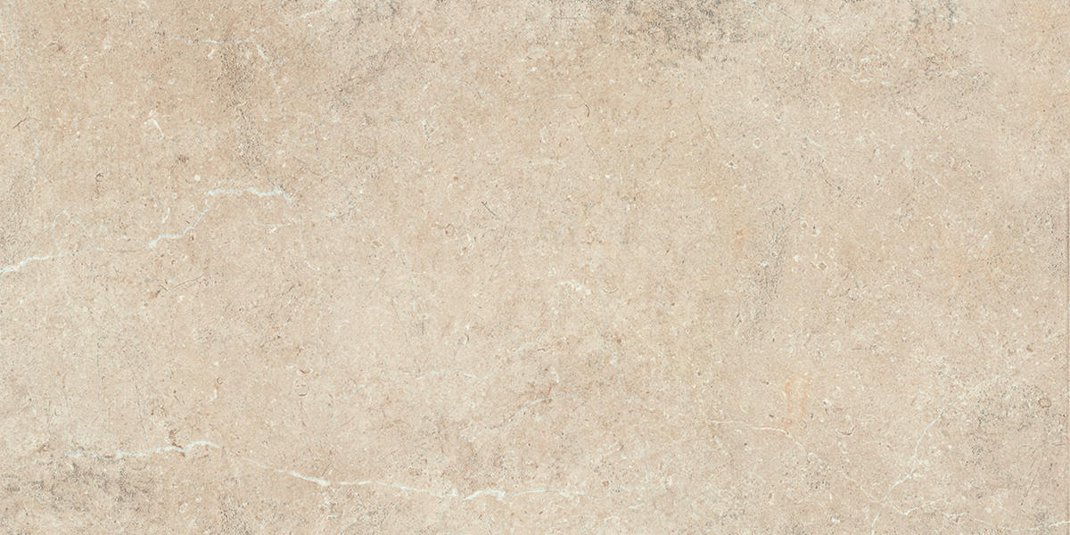 Daltile Courier 24" x 48" Xterior Paver Textured Rockwell