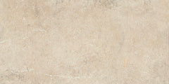 Daltile Courier 24" x 48" Xterior Paver Textured Rockwell
