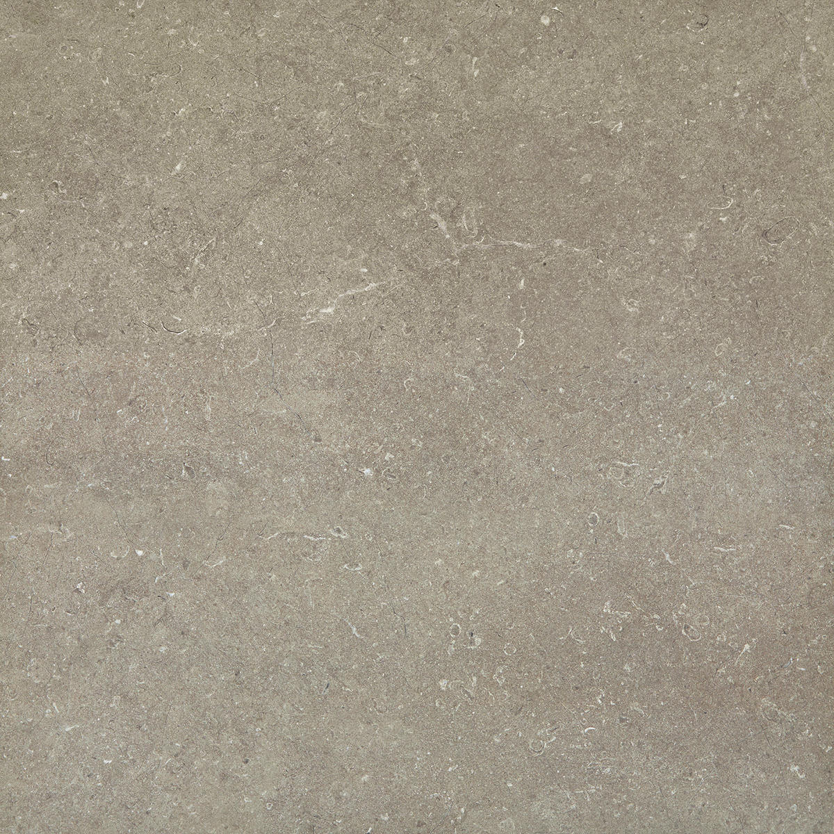 Daltile Courier 24" x 24" Xterior Paver Stepwise Textured River