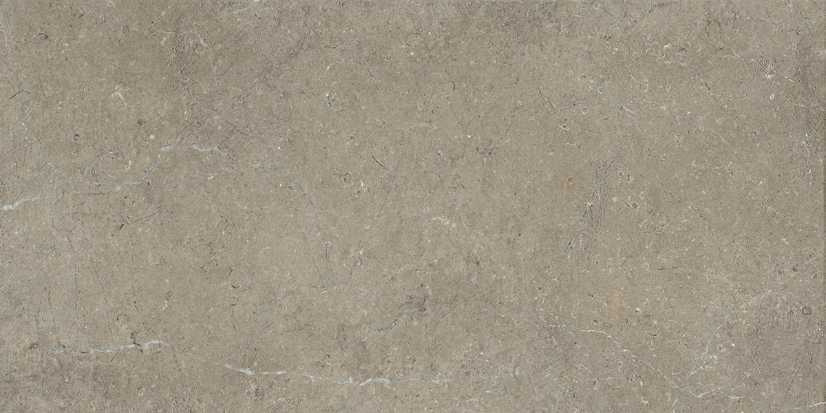 Daltile Courier 24" x 48" Xterior Paver Textured River