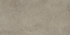 Daltile Courier 24" x 48" Xterior Paver Textured River