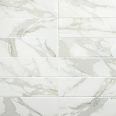 Daltile Platinum 6" x 18" Glossy Magnolia