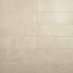 Daltile Platinum 6" x 18" Glossy Almond
