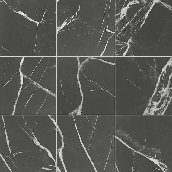 Daltile Platinum 12" x 12" Matte Carbon