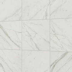 Daltile Platinum 24" x 24" Matte Calacatta Empire