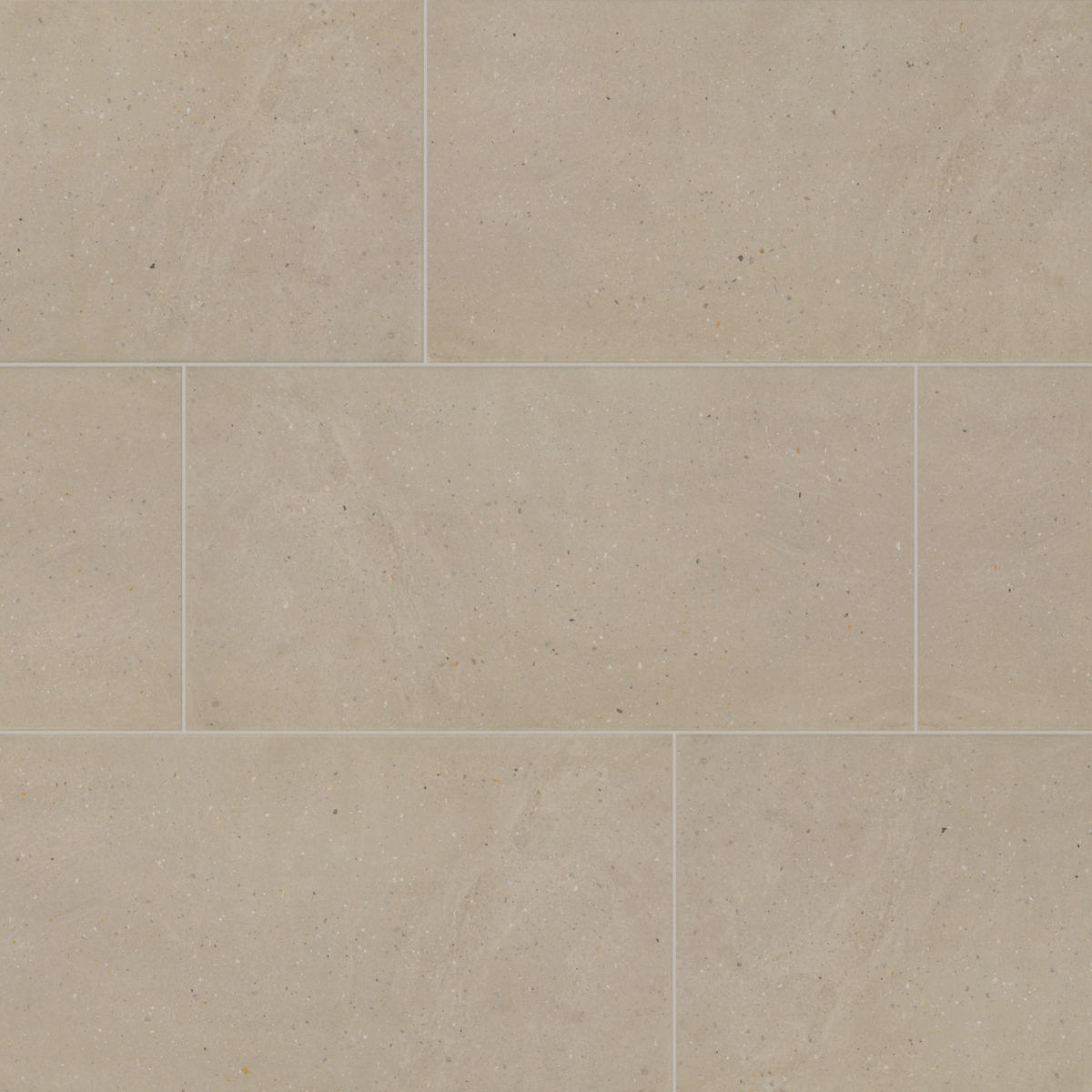 Daltile Exposition 12" x 24" Matte Gesso