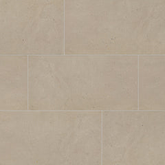 Daltile Exposition 12" x 24" Matte Gesso