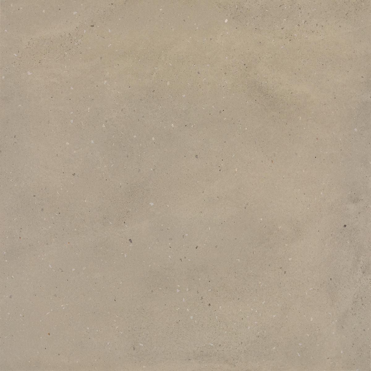 Daltile Exposition 24" x 24" Matte Gesso