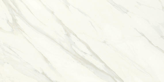 Daltile Florentine 12" x 24" Glossy Carrara