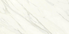 Daltile Florentine 12" x 24" Glossy Carrara