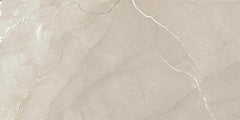 Daltile Grantshire 12" x 24" Glue Down 2 MM 12 MIL Tuscan Taupe