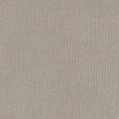 Daltile Prime 12" x 12" Matte Greige