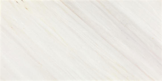 Daltile Eclessia Marble 12" x 24" Honed Pacifica