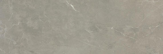 Daltile Prime 8" x 24" Glossy Historic Grey