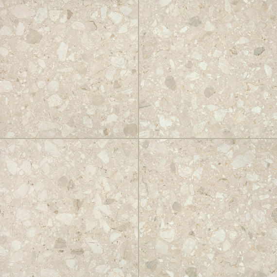 Daltile Outlander 24" x 24" Grande Satin Polished Lumen