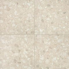 Daltile Outlander 24" x 24" Grande Satin Polished Lumen