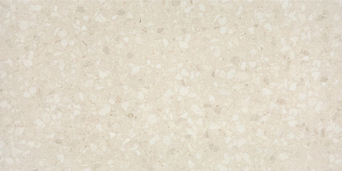 Daltile Outlander 24" x 48" Grande Lumen