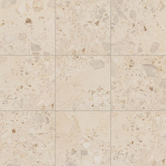 Daltile Sand And Stone 24" x 24" Stone Matte Summit