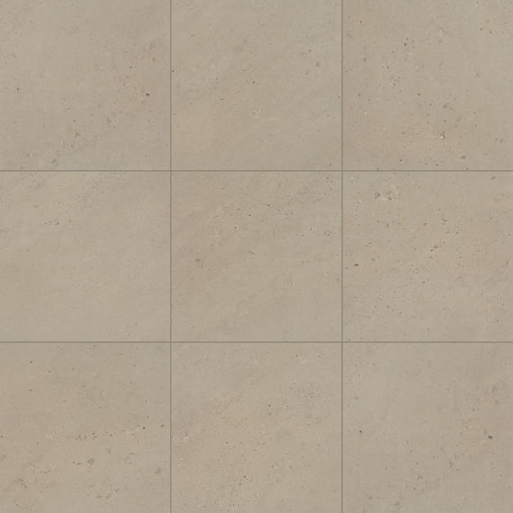 Daltile Sand And Stone 24" x 24" Sand Matte Tundra