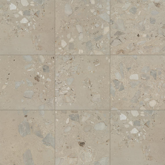 Daltile Sand And Stone 24" x 24" Stone Matte Tundra