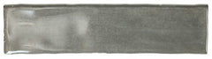 Daltile Mesmerist 3" X 12" Charm