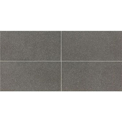 American Olean Neospeck 12" X 24" Light Polished Dark Gray