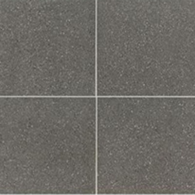 American Olean Neospeck 24" X 24" Dark Gray