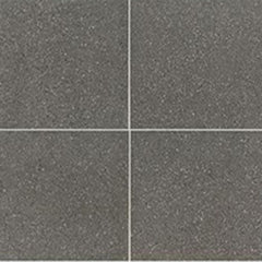 American Olean Neospeck 24" X 24" Dark Gray