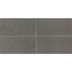 American Olean Neospeck 12" X 24" Dark Gray