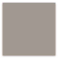 American Olean Color Story 2" X 8" Wall Tile Matte Dependable
