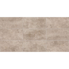 American Olean Candora 8" X 36" Polished Earnest Beige