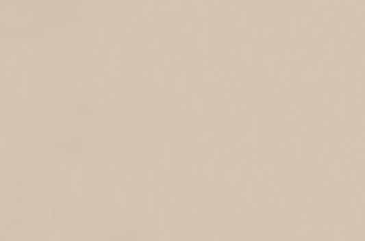 Emser Expanse 39" X 59" Matte Solo Beige