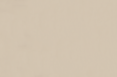 Emser Expanse 47" X 71" Matte Solo Beige