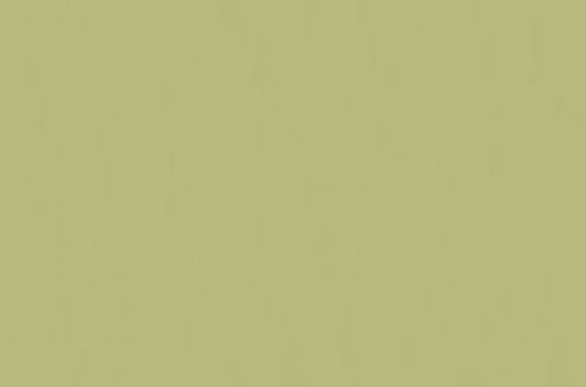 Emser Expanse 47" X 71" Matte Solo Lime