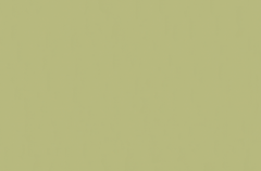Emser Expanse 47" X 71" Matte Solo Lime
