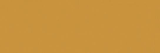 Emser Expanse 39" X 118" Matte Solo Pumpkin
