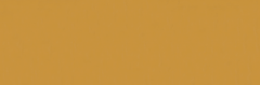 Emser Expanse 39" X 118" Matte Solo Pumpkin