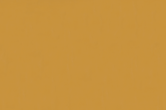 Emser Expanse 47" X 71" Matte Solo Pumpkin