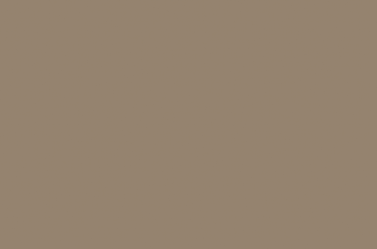 Emser Expanse 47" X 71" Matte Solo Taupe