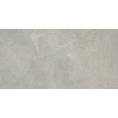 Emser Realm II 12" x 24" Domain